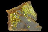 Vibrant Green Pyromorphite Crystals on Matrix - China #147657-1